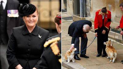 Queen Elizabeth II's corgis are all right: Sarah Ferguson's update on beloved dogs she and Andrew inherited - www.foxnews.com - Scotland - city Sandy