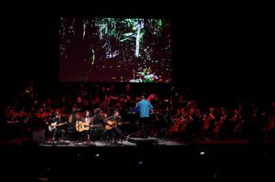 Fleet Foxes Frontman Robin Pecknold On Creating The Music For Amazon’s Documentary ‘Wildcat’ – Sound & Screen - deadline.com - Brazil - city Amsterdam