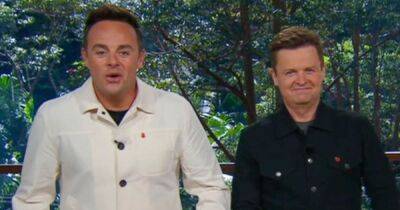 I'm A Celeb fans in hysterics at Ant McPartlin's 'sassy' response to Sue Cleaver - www.dailyrecord.co.uk - Manchester