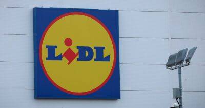 Trust outline concerns, as Lidl officially submit plans for new Alexandria store - www.dailyrecord.co.uk