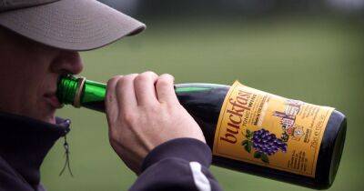 Scots booze prices rise faster under minimum pricing but cost of Buckfast tumbles - www.dailyrecord.co.uk - Scotland