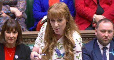 'Drain the swamp' Angela Rayner savages Dominic Raab during fiery Commons exchange - www.dailyrecord.co.uk - county Summit