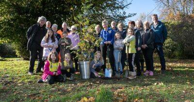 West Lothian gifted trees as a message of 'hope, regeneration and optimism' - dailyrecord.co.uk - Britain - county Wayne