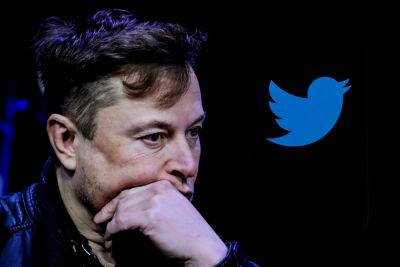 Donald Trump - Elon Musk - Voice - Elon Musk Says He’ll Reinstate Suspended Twitter Accounts Beginning Next Week - deadline.com