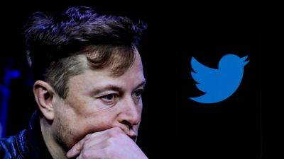Elon Musk Sets Launch Date For New Twitter Verification System - deadline.com - USA