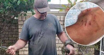 Byron Bay - Boy, 5, bitten and dragged into pool by monster 10ft python rescued by hero dad - dailyrecord.co.uk - Australia