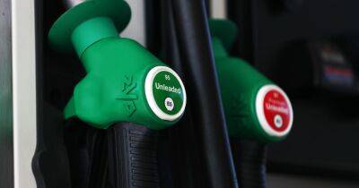 Simon Williams - Retailer cuts its petrol by 8p a litre to 147.7p - dailyrecord.co.uk - Britain - Beyond