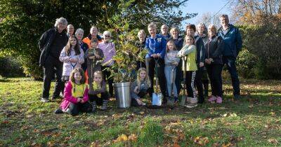 West Lothian gifted trees as a message of 'hope, regeneration and optimism' - dailyrecord.co.uk - Britain - county Wayne