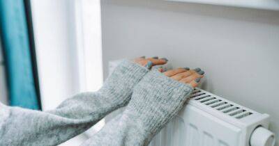 How to bleed your radiators as heating expert issues step-by-step guide - www.dailyrecord.co.uk - Beyond