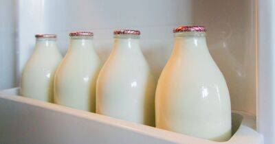 Tiktok - The reason you should never leave milk in the fridge door - dailyrecord.co.uk - Britain - Scotland - Beyond