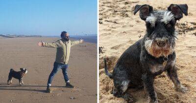 Man ditches party lifestyle for his new dog – and he couldn’t be happier - www.dailyrecord.co.uk