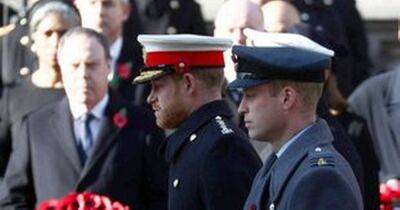 Jeffrey Epstein - Andrew Princeandrew - Prince Harry - princess Anne - Prince Harry and Andrew's remembrance wreaths removed from poppy factory in fresh blow - dailyrecord.co.uk - London - USA - Afghanistan - city Richmond