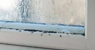 Three cheap home hacks to stop condensation from dripping down your window - www.dailyrecord.co.uk - France - Scotland - Ireland