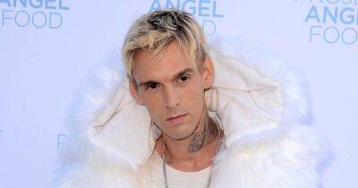 Aaron Carter Was Working on a Sitcom About Mental Health and Group Therapy Before His Death: How the Show Will Honor Him - www.usmagazine.com