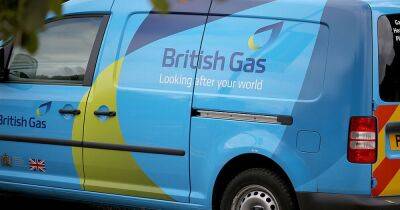 British Gas to pay customers for using less electricity during peak hours - dailyrecord.co.uk - Britain
