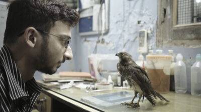 ‘All That Breathes,’ Stirring Film On Humans And Birds, Snares Best Feature at 38th IDA Documentary Awards - deadline.com - Hollywood - India