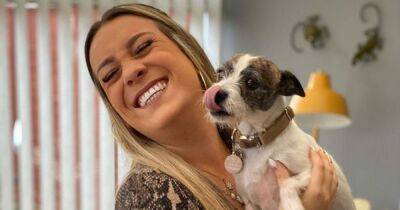 Scots woman in desperate bid to be reunited with missing dog for Christmas - www.dailyrecord.co.uk - Scotland