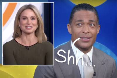 Amy Robach & T.J. Holmes Are Laying Low -- And Staying Apart -- As Their TV Futures Are Being Decided - perezhilton.com