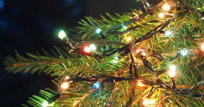 Woman shares 'expert' Christmas tree lights hack to hang them easily with no waste - www.dailyrecord.co.uk - Beyond