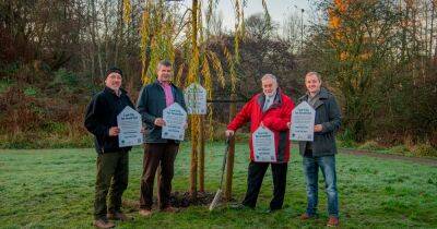 You can now remember loved ones and special occasions by planting trees - www.dailyrecord.co.uk