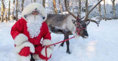 You can visit Santa's reindeer right here in Scotland - here's how to get tickets - www.dailyrecord.co.uk - Britain - Scotland - Santa - county Forest