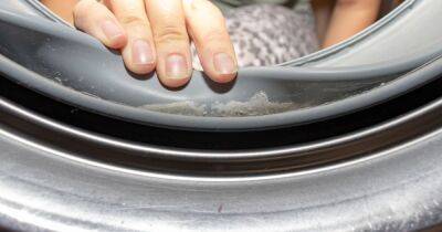 'Easy' way to clean washing machine that kills germs and removes dirt - www.dailyrecord.co.uk