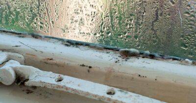 Mouldy windows banished by 'magic' 95p spray that takes just 10 minutes to work - dailyrecord.co.uk - Britain