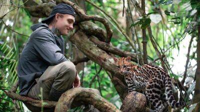 ‘Wildcat’ Film Review: Young Veteran and Baby Ocelot Heal Each Other in Moving Nature Doc - thewrap.com - USA - Peru - Ecuador