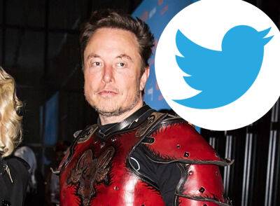 Did Elon Musk's New Twitter Poll Backfire?? - perezhilton.com