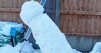Dad's snowman fail leaves people in hysterics as it melts into rude shape overnight - www.dailyrecord.co.uk - Britain