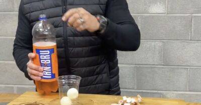 TikTok user makes 'Irn-Bru flavoured boiled egg' in unusual experiment - www.dailyrecord.co.uk - Scotland