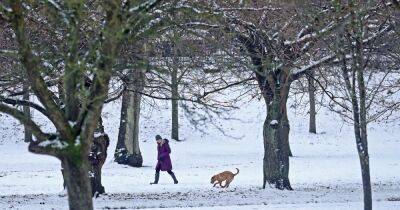 White Christmas ‘most likely’ in Scottish Highlands, says Met Office - www.dailyrecord.co.uk - Britain - Scotland - Ireland