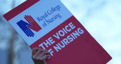 Nurses and midwives in Perth and Kinross to join national strikes next year after latest NHS pay offer rejected - www.dailyrecord.co.uk - Britain - Scotland