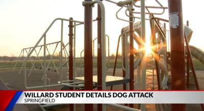 21 Injured After Dogs Attack School Playground At Recess - perezhilton.com - state Missouri - county Brown - city Springfield