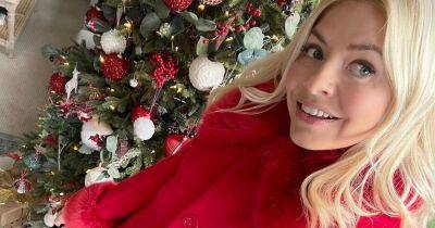 Holly Willoughby shares 'perfect Mrs Claus' selfie from £3m London home - www.dailyrecord.co.uk - city Santa Claus