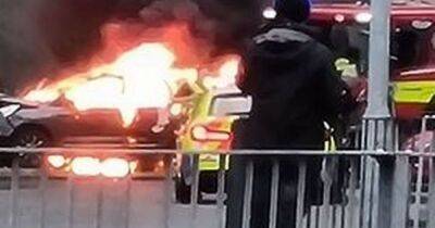 Car bursts into flames after pedestrian knocked down near Scots park - www.dailyrecord.co.uk - Scotland