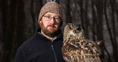 Eagle owl who landed at Faslane has settled into life at Loch Lomond Bird of Prey centre - www.dailyrecord.co.uk - Britain