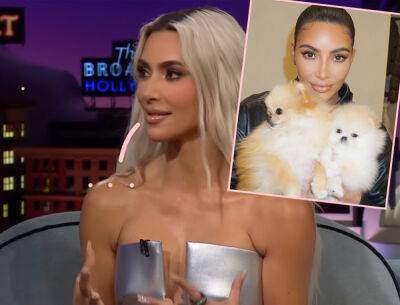 Fans Blast Kim Kardashian After Sharing TikTok Video Of Her Dogs Seemingly Living In Her Garage! - perezhilton.com