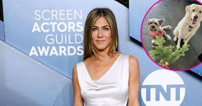 Jennifer Aniston and More Stars Celebrate Holiday Seasons With Their Pets: See Photos - www.usmagazine.com