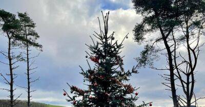 The Christmas tree in remote Scottish wilderness that's decorated every year by 'mystery person' - www.dailyrecord.co.uk - Scotland - Italy - county Highlands