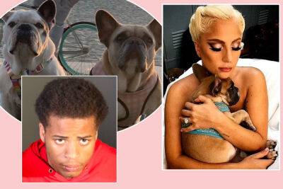 Ryan Fischer - Man Who Shot Lady GaGa's Dog Walker Sentenced To Prison -- DETAILS - perezhilton.com - France - Hollywood - Los Angeles - state Idaho
