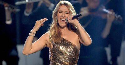 Celine Dion forced to cancel tour after being diagnosed with incurable disease - dailyrecord.co.uk