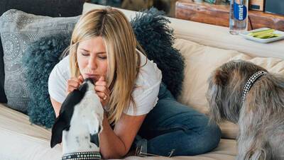Jennifer Aniston’s Dogs Won’t Stop ‘Smothering’ Her During A Workout At Home — Watch - hollywoodlife.com - Hawaii - city Sandler