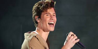 Shawn Mendes Will Be the Voice of Lyle in 'Lyle, Lyle, Crocodile' Movie - www.justjared.com - New York