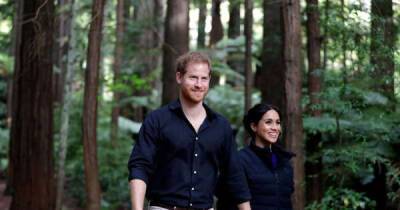 Prince Harry and Meghan Markle's California home riddled by 'foul smell' say fuming neighbours - www.msn.com - Britain - Los Angeles - USA - California - Santa Barbara