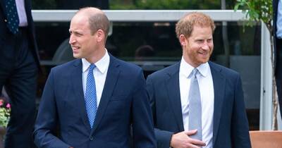 Harry and William to 'thrash it out' at reunion and are willing to 'compromise', expert says - www.ok.co.uk - Birmingham - county Williams