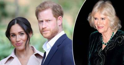 princess Diana - queen Camilla - Prince Harry - Meghan - Paul Burrell - Martin Bashir - EXCLUSIVE! Diana’s pal: ‘Harry’s angry over ‘Queen’ Camilla - he and Meghan will reveal her secrets on TV’ - msn.com