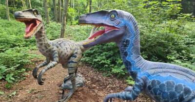 Totally Roarsome dinosaur trail to open near Manchester this February half term - www.manchestereveningnews.co.uk - county Hall - Manchester - county Cheshire