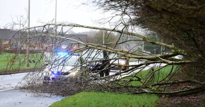 Police warn drivers of Storm Dudley travel disruption as gale force winds due to hit - www.dailyrecord.co.uk - Scotland