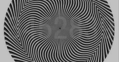 Optical illusion stumps viewers as people debate hidden numbers inside - www.dailyrecord.co.uk - Scotland